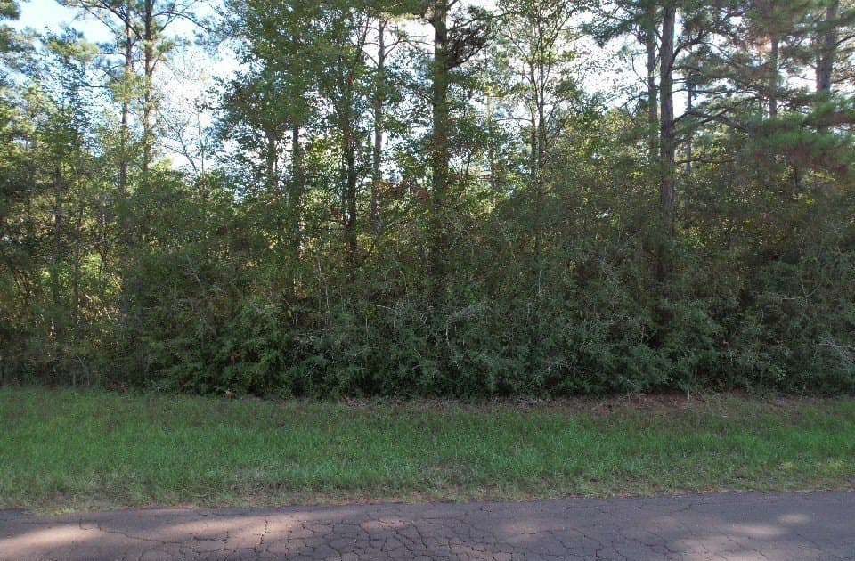 10.36 acres in Panola County - photo 13