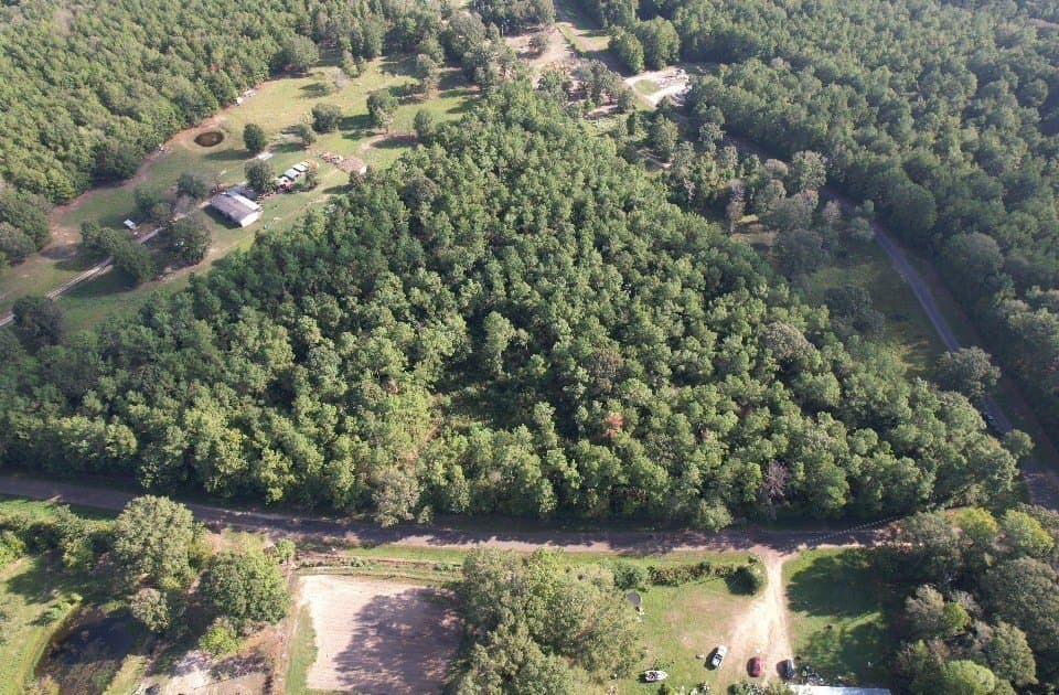 10.36 acres in Panola County - photo 9
