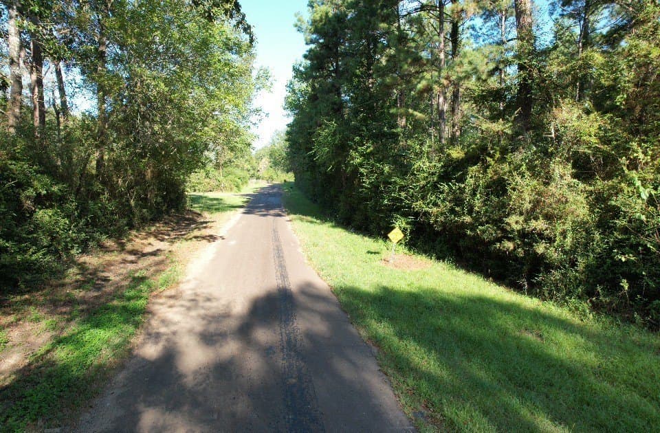 10.36 acres in Panola County - photo 3