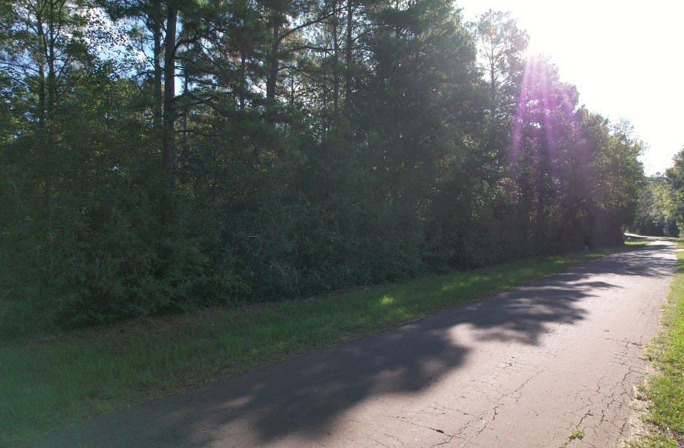 10.36 acres in Panola County - photo 12