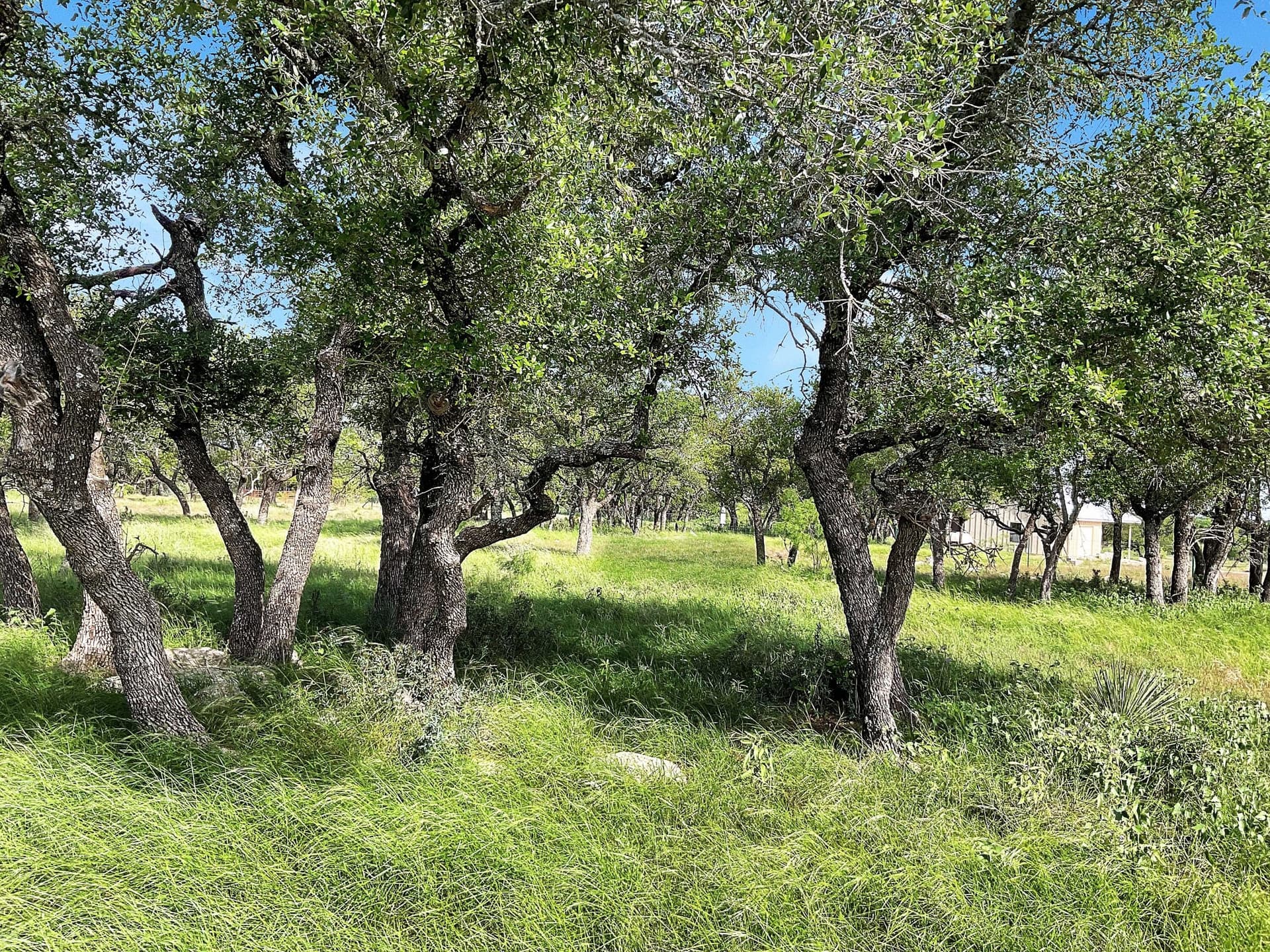 34.68 acres in Schleicher County featured view