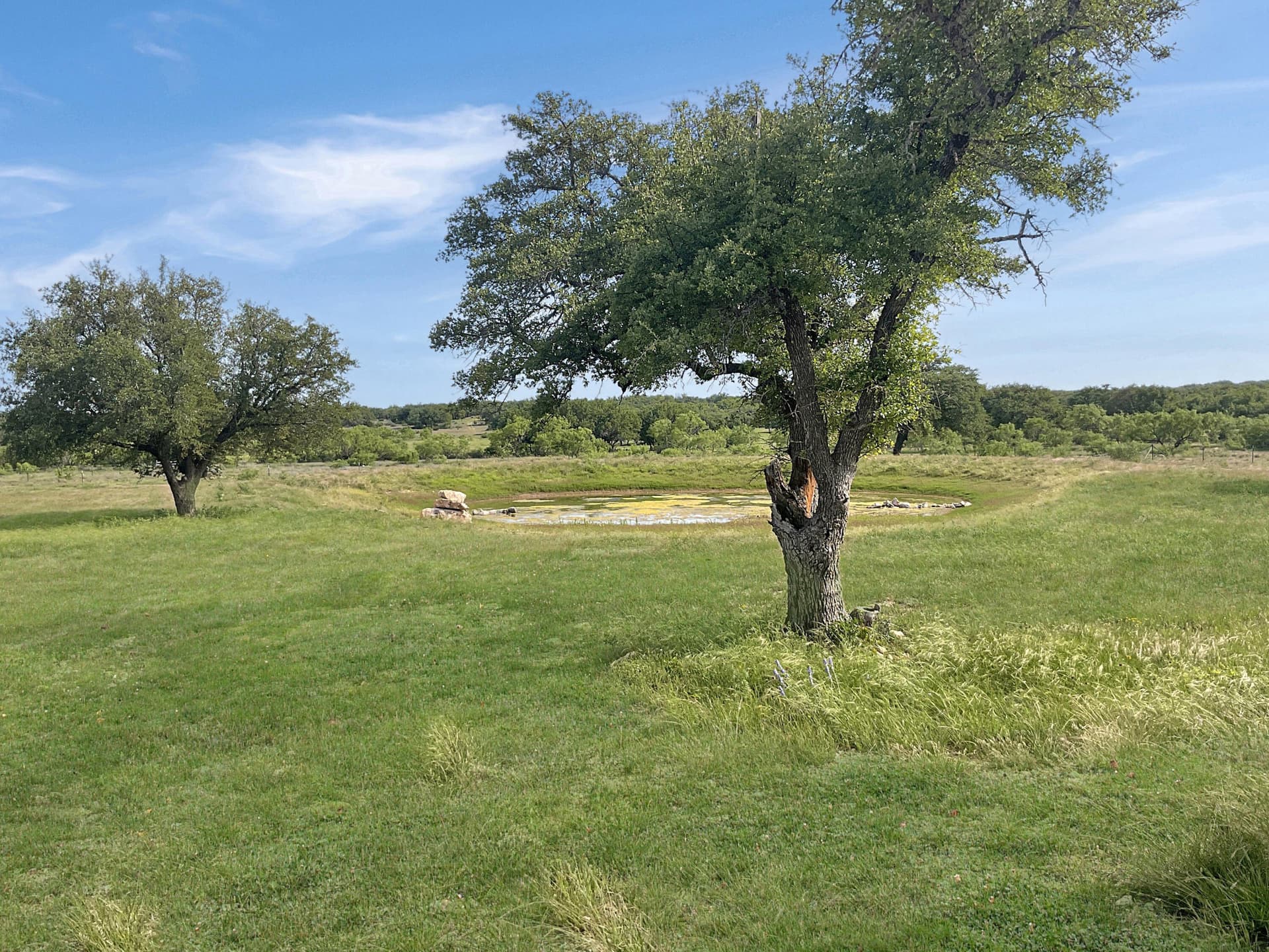 34.68 acres in Schleicher County gallery image 2