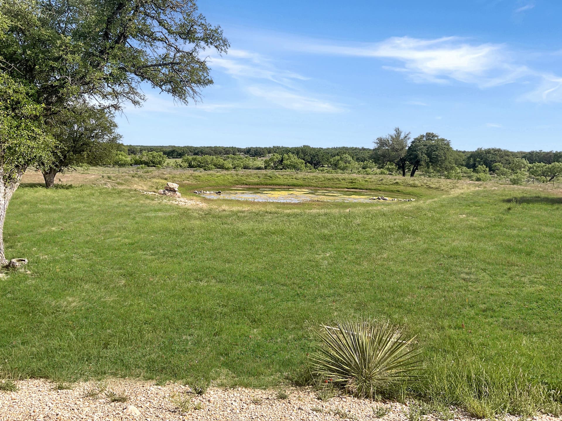 34.68 acres in Schleicher County gallery image 4