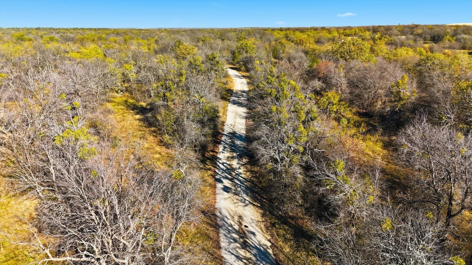 84 acres in Wise County - photo 5