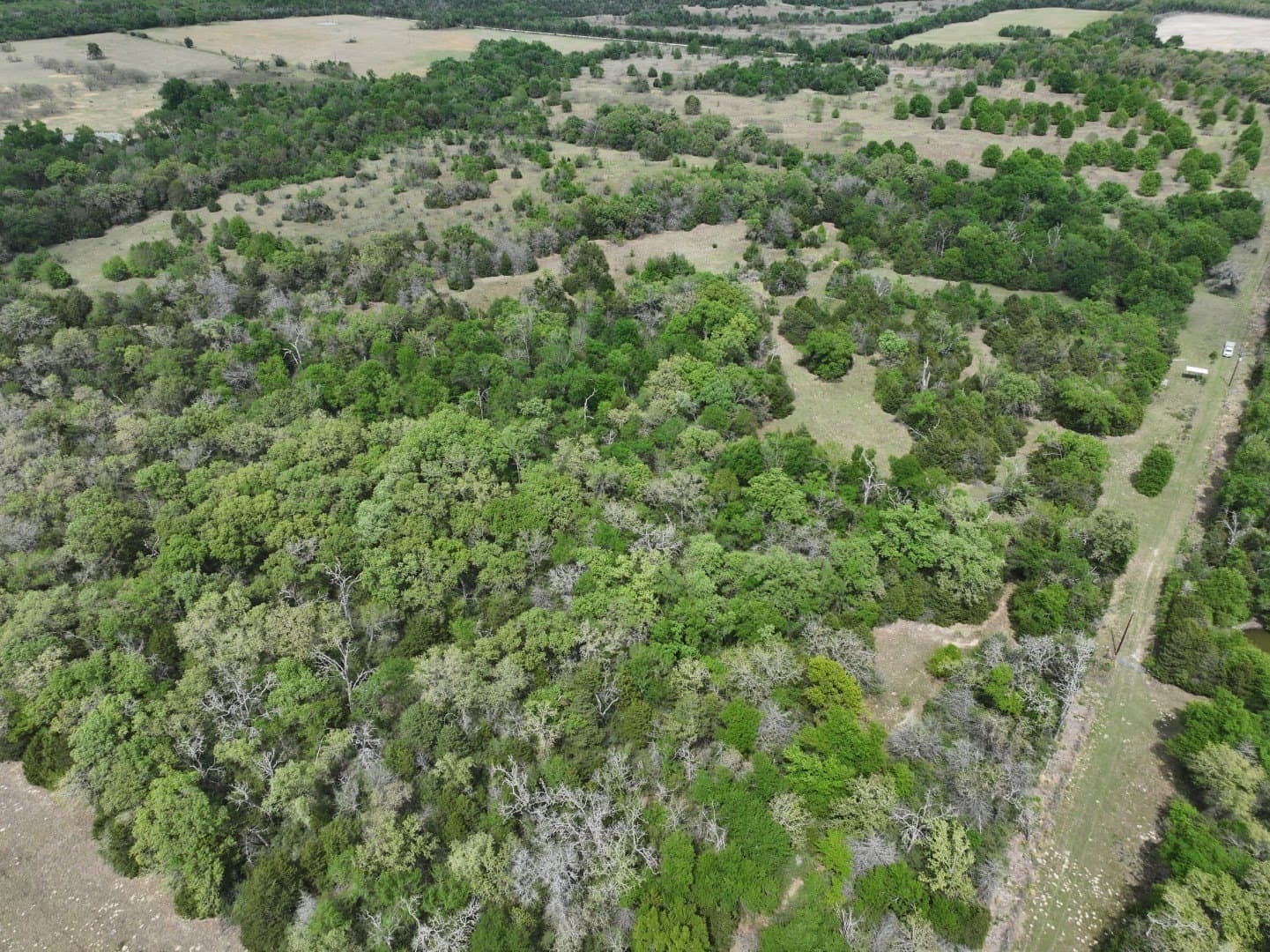 54.17 acres in Limestone County - photo 29