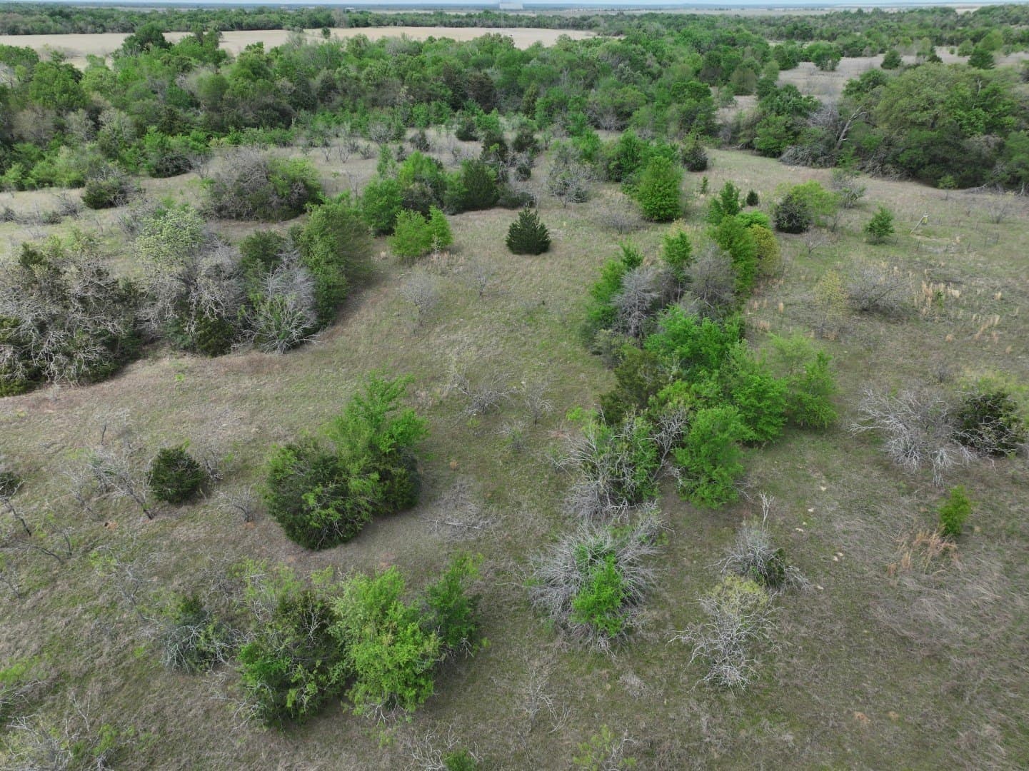 54.17 acres in Limestone County - photo 16