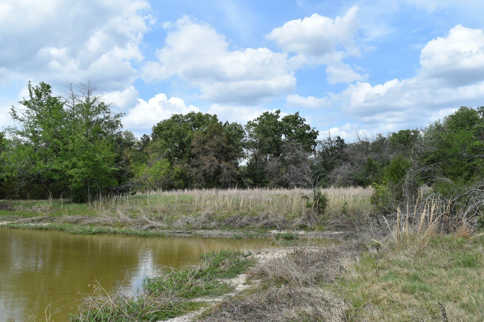 54.17 acres in Limestone County - photo 9