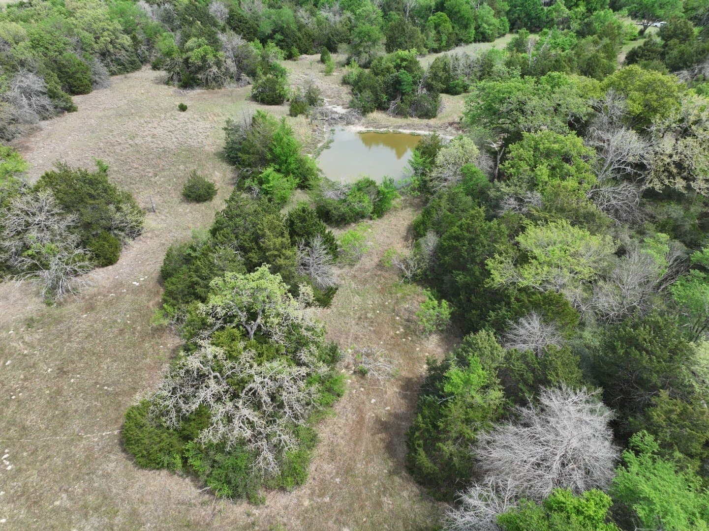 54.17 acres in Limestone County - photo 12