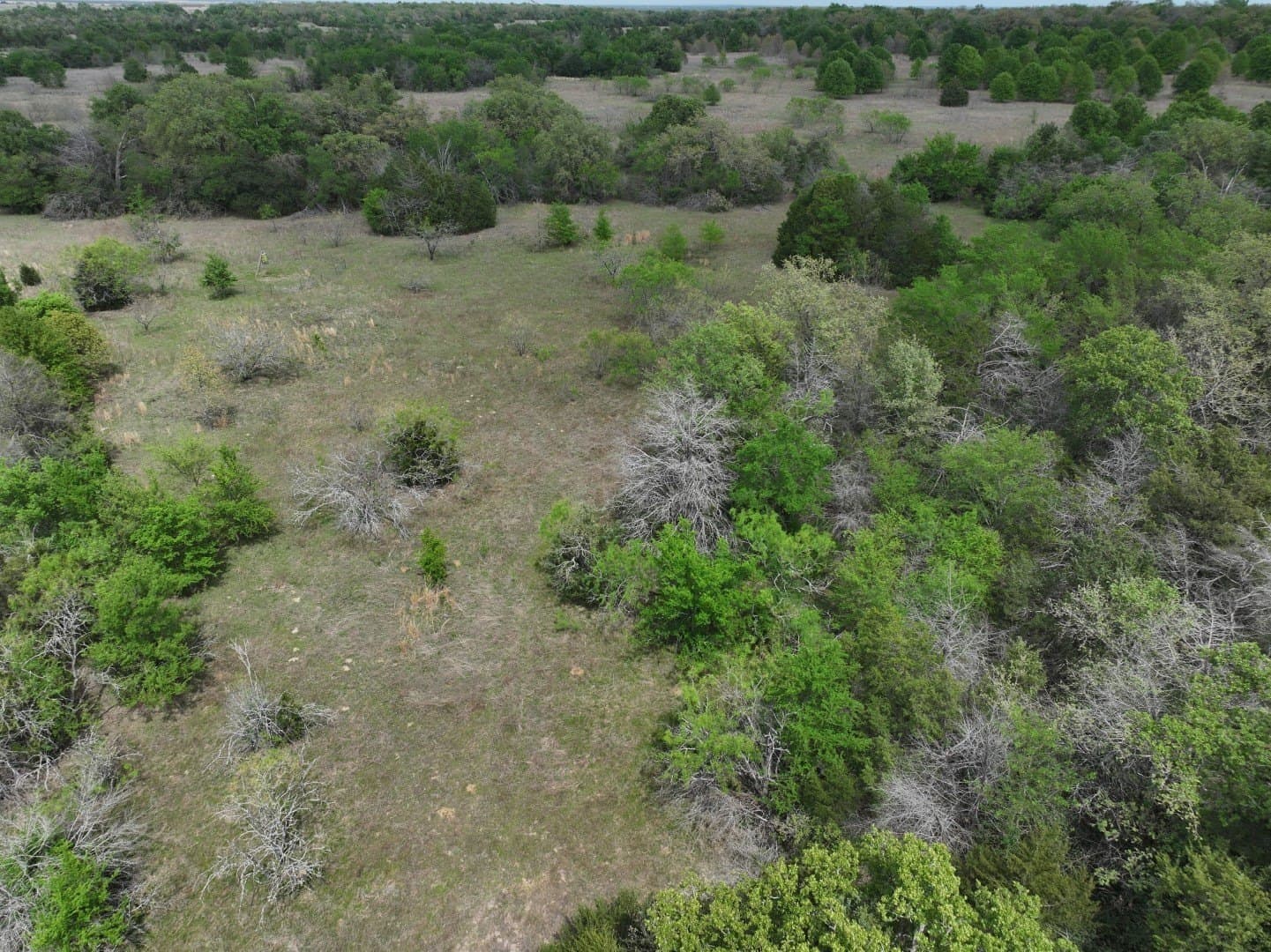 54.17 acres in Limestone County - photo 17