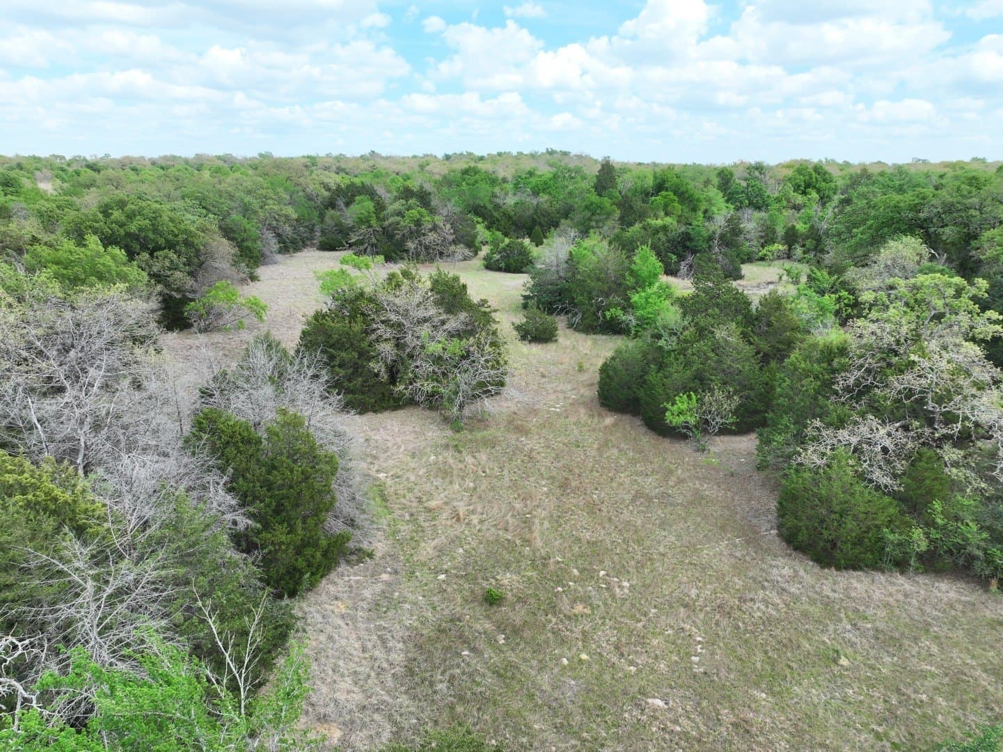 54.17 acres in Limestone County - photo 10
