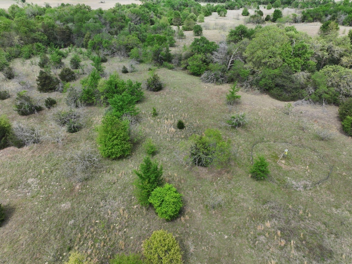 54.17 acres in Limestone County - photo 21