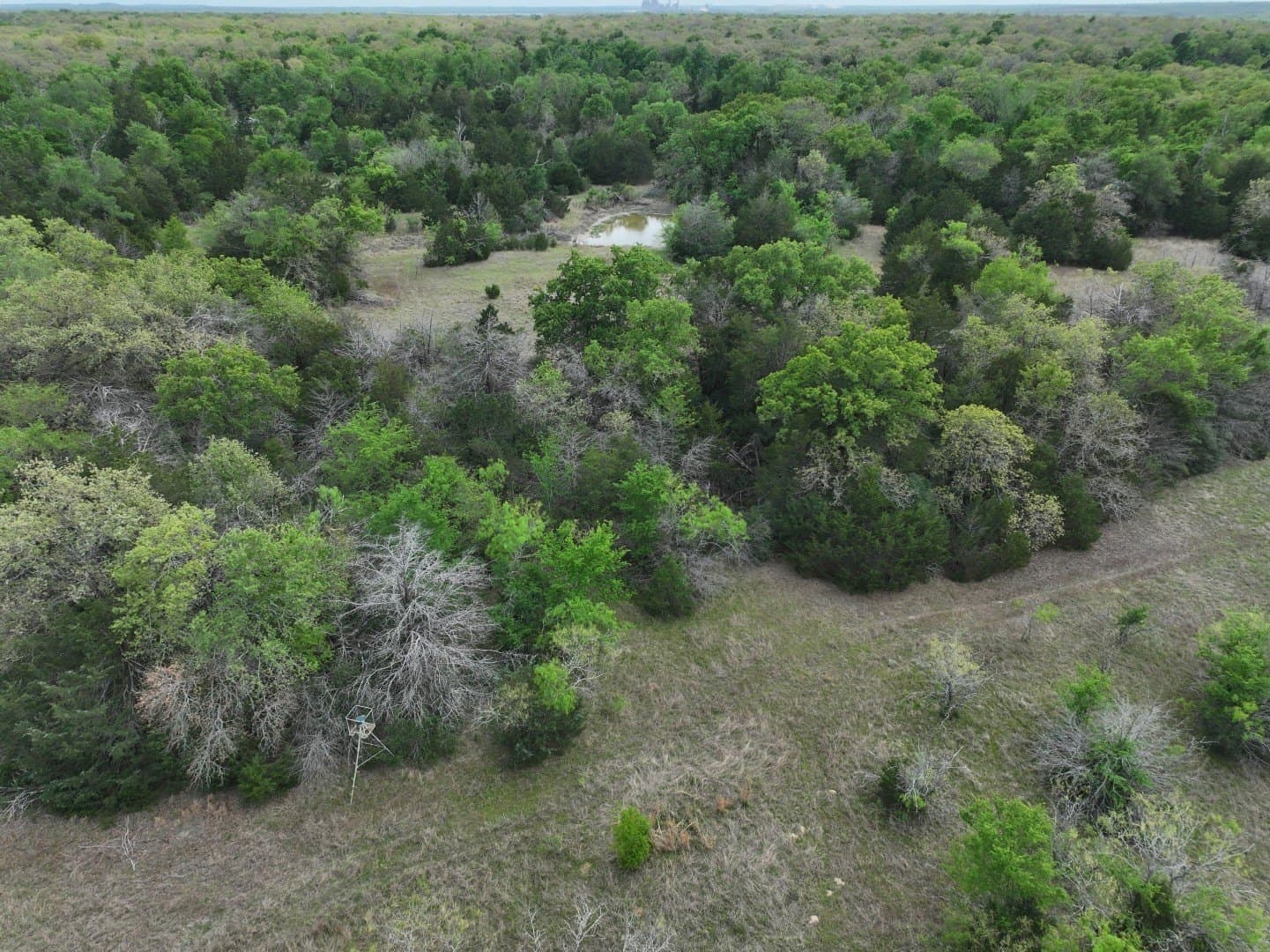 54.17 acres in Limestone County - photo 19