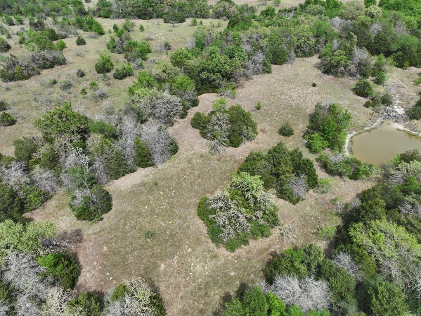 54.17 acres in Limestone County - photo 30