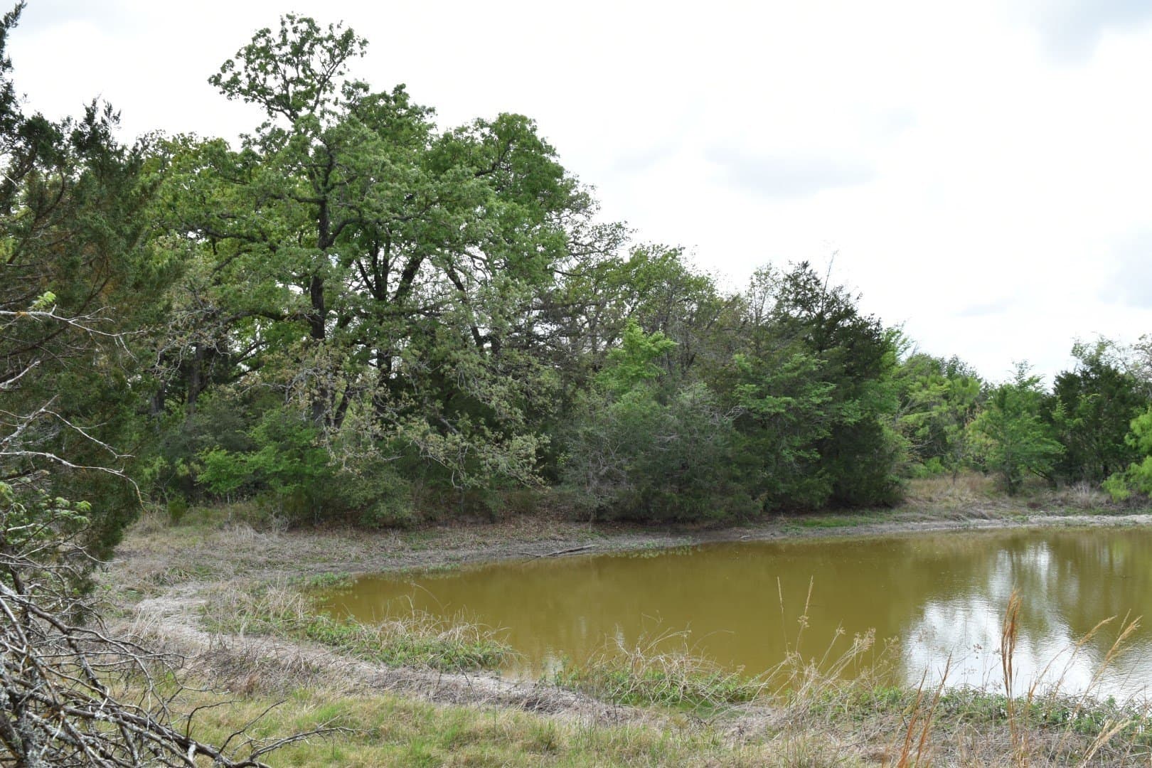 54.17 acres in Limestone County - photo 8