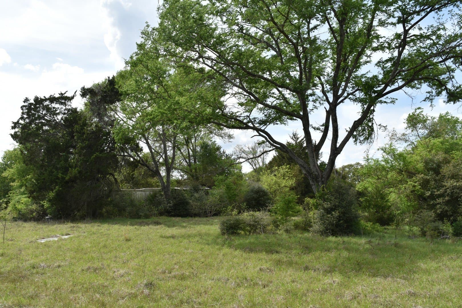 54.17 acres in Limestone County - photo 6
