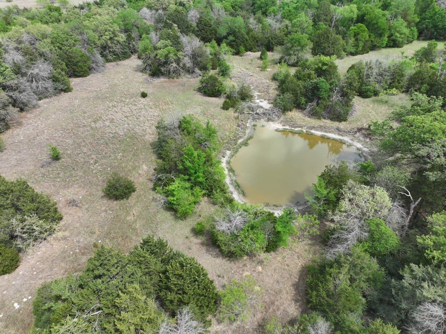 54.17 acres in Limestone County - photo 13