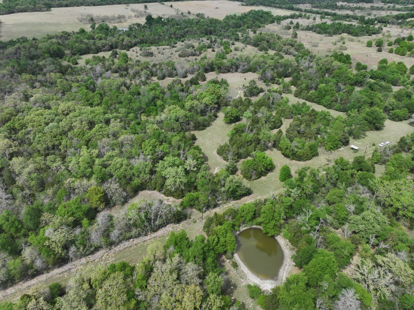 54.17 acres in Limestone County - photo 28