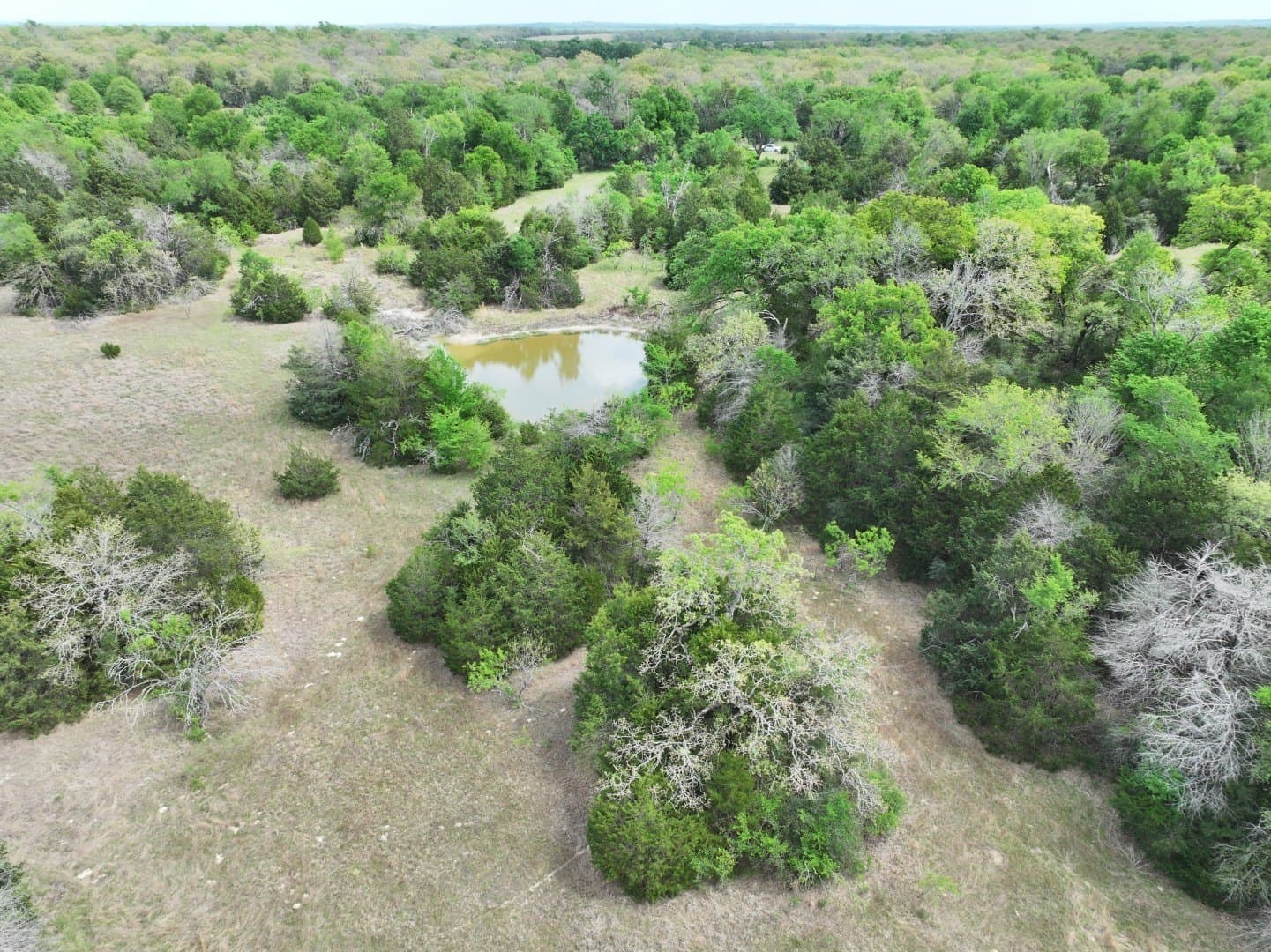 54.17 acres in Limestone County - photo 11