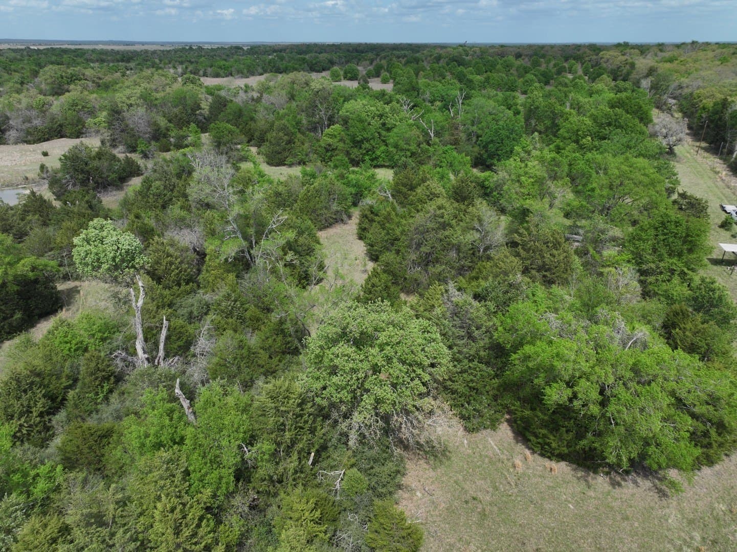 54.17 acres in Limestone County - photo 26