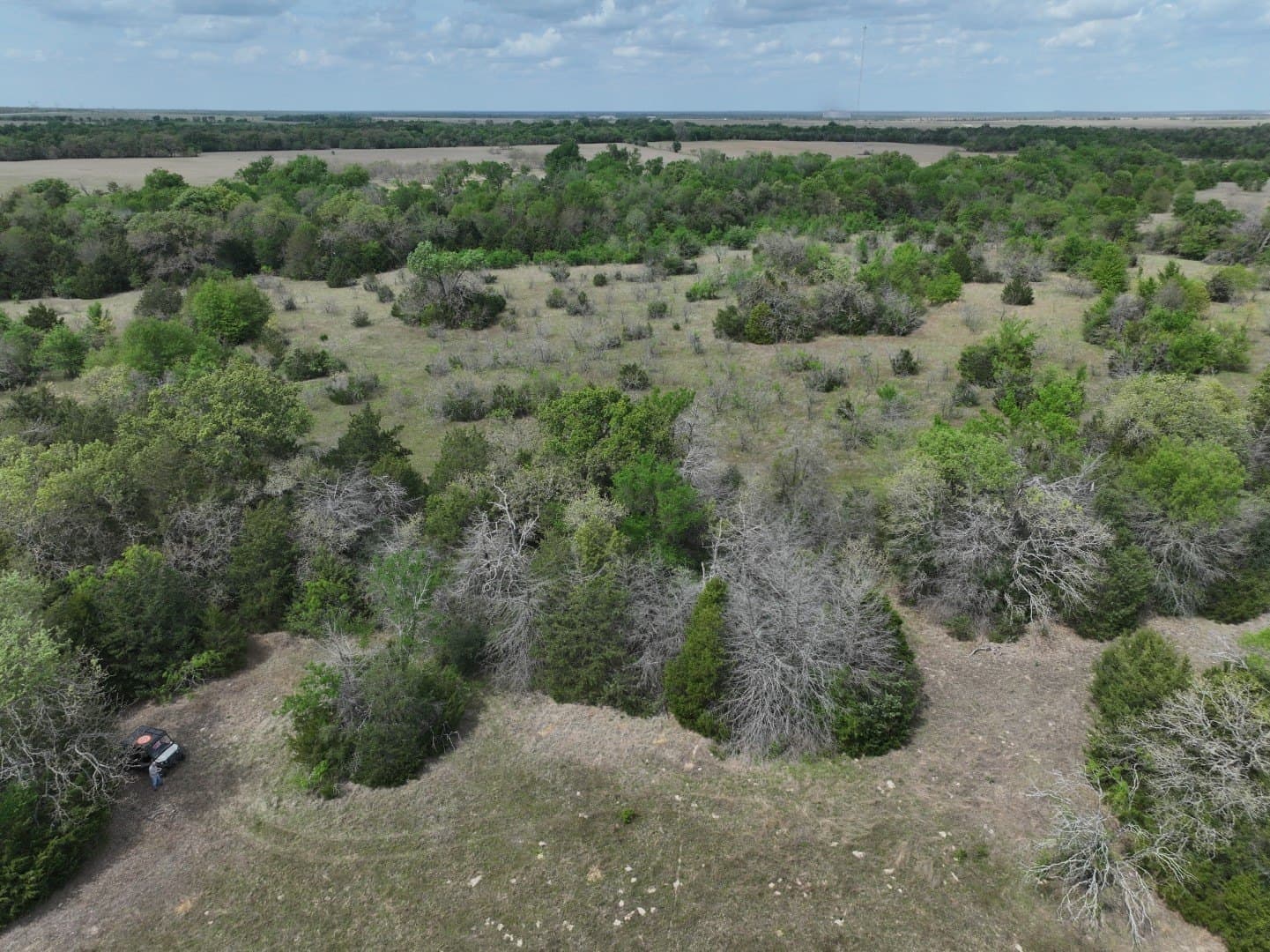 54.17 acres in Limestone County - photo 14