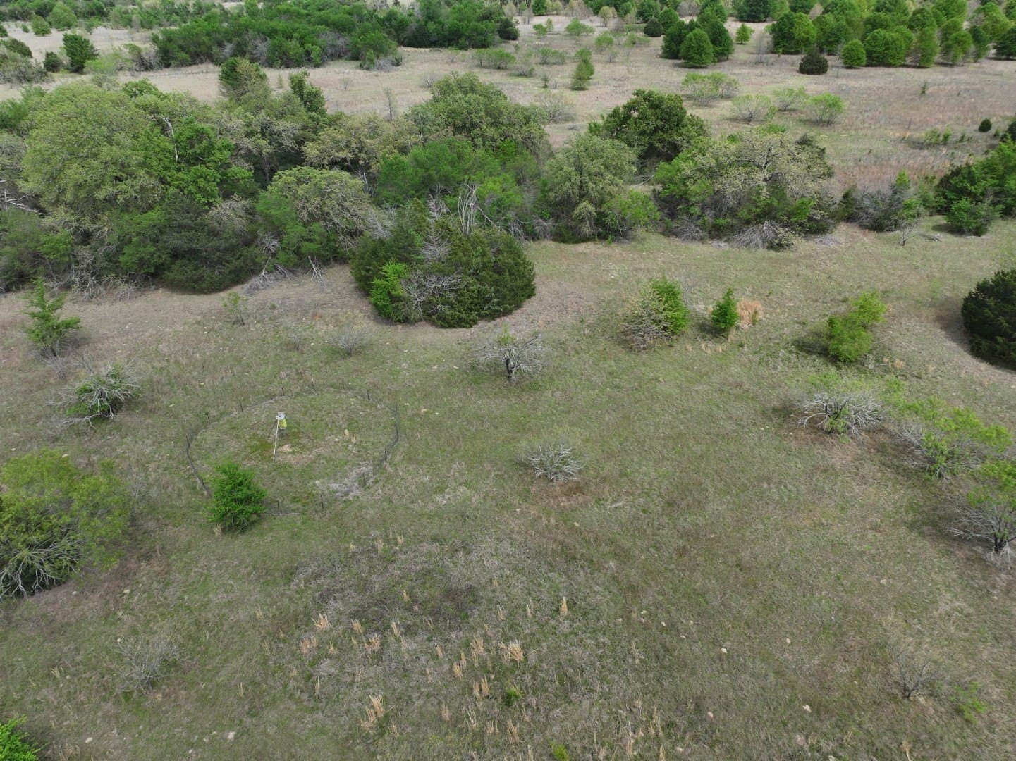 54.17 acres in Limestone County - photo 20