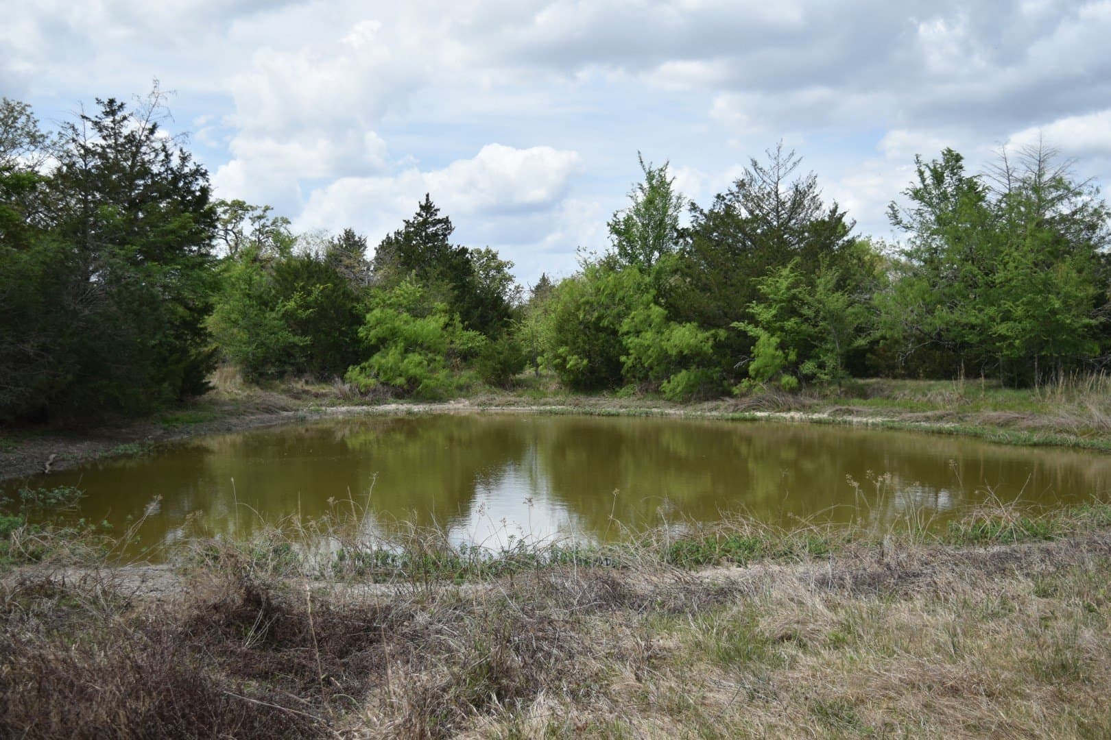 54.17 acres in Limestone County - photo 7