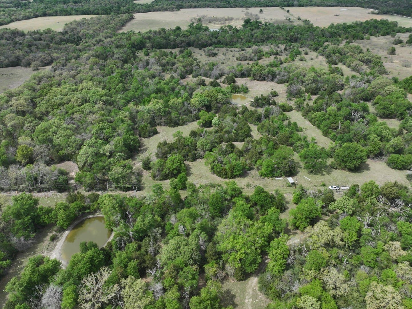 54.17 acres in Limestone County - photo 27