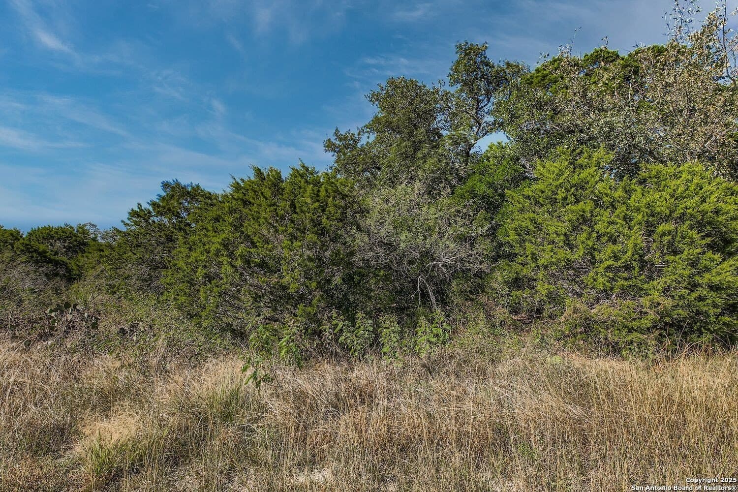 5.05 acres in Medina County - photo 10
