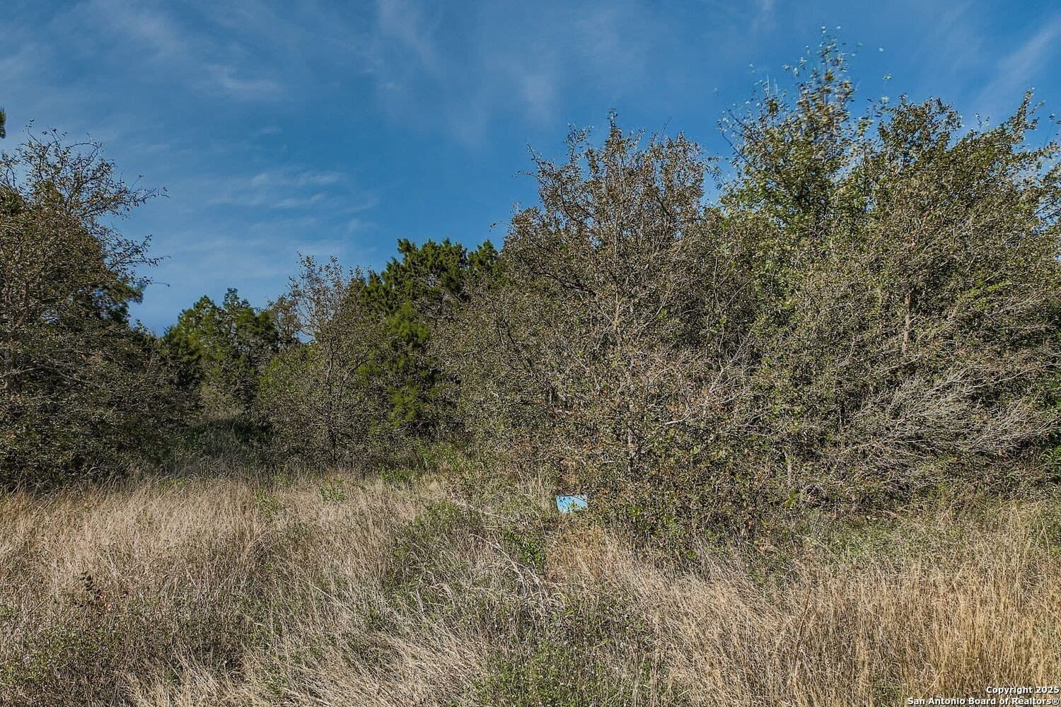 5.05 acres in Medina County - photo 6