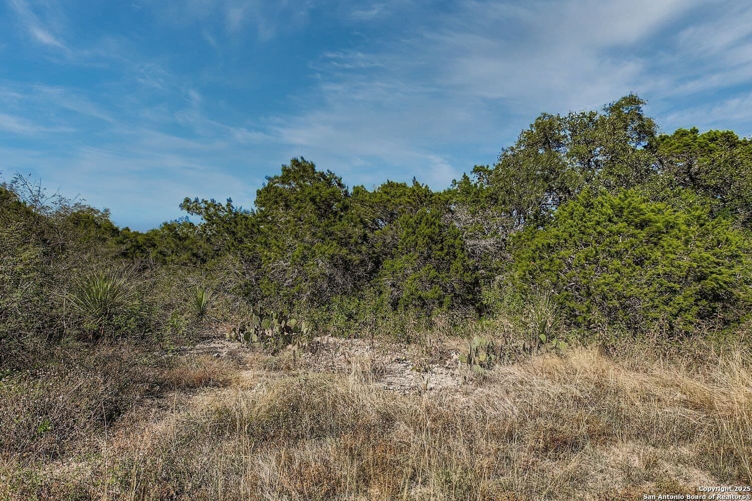 5.05 acres in Medina County - photo 8