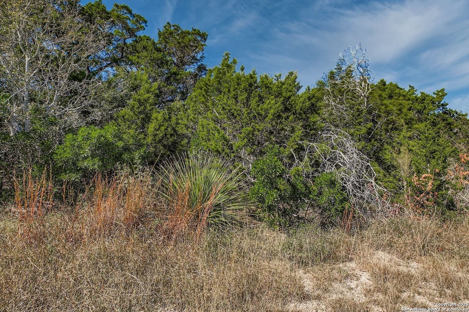 5.05 acres in Medina County - photo 11