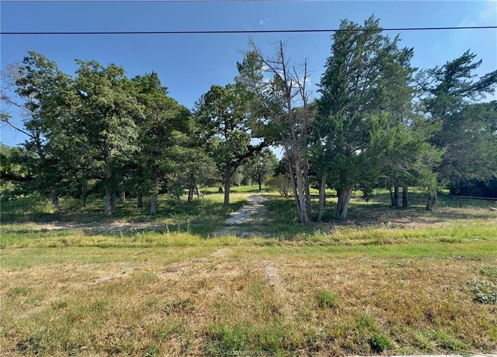 10.35 acres in Brazos County - photo 3