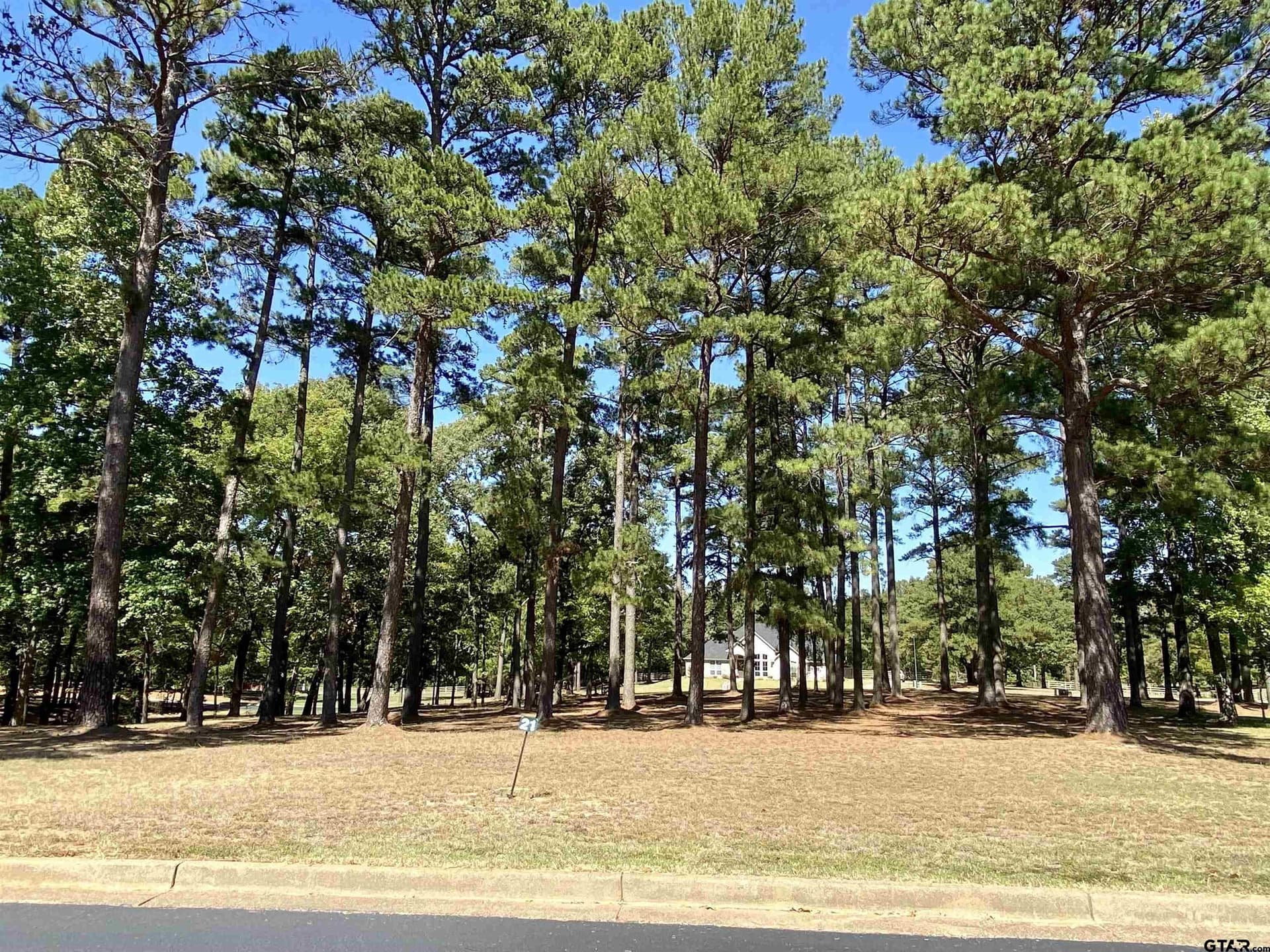 0.38 acres in Anderson County gallery image 3