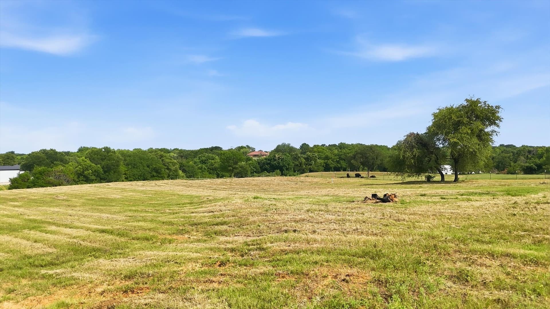 3 acres in Wise County - photo 20