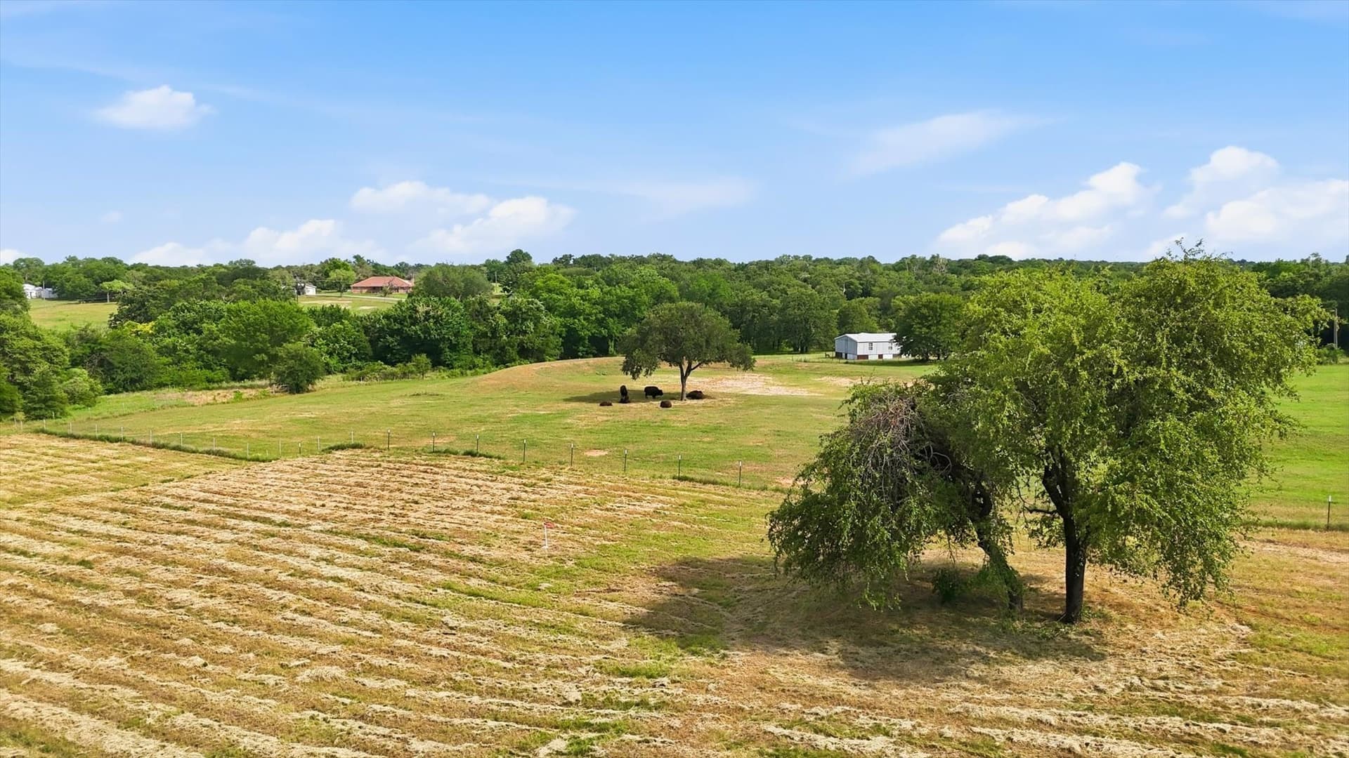 3 acres in Wise County - photo 21