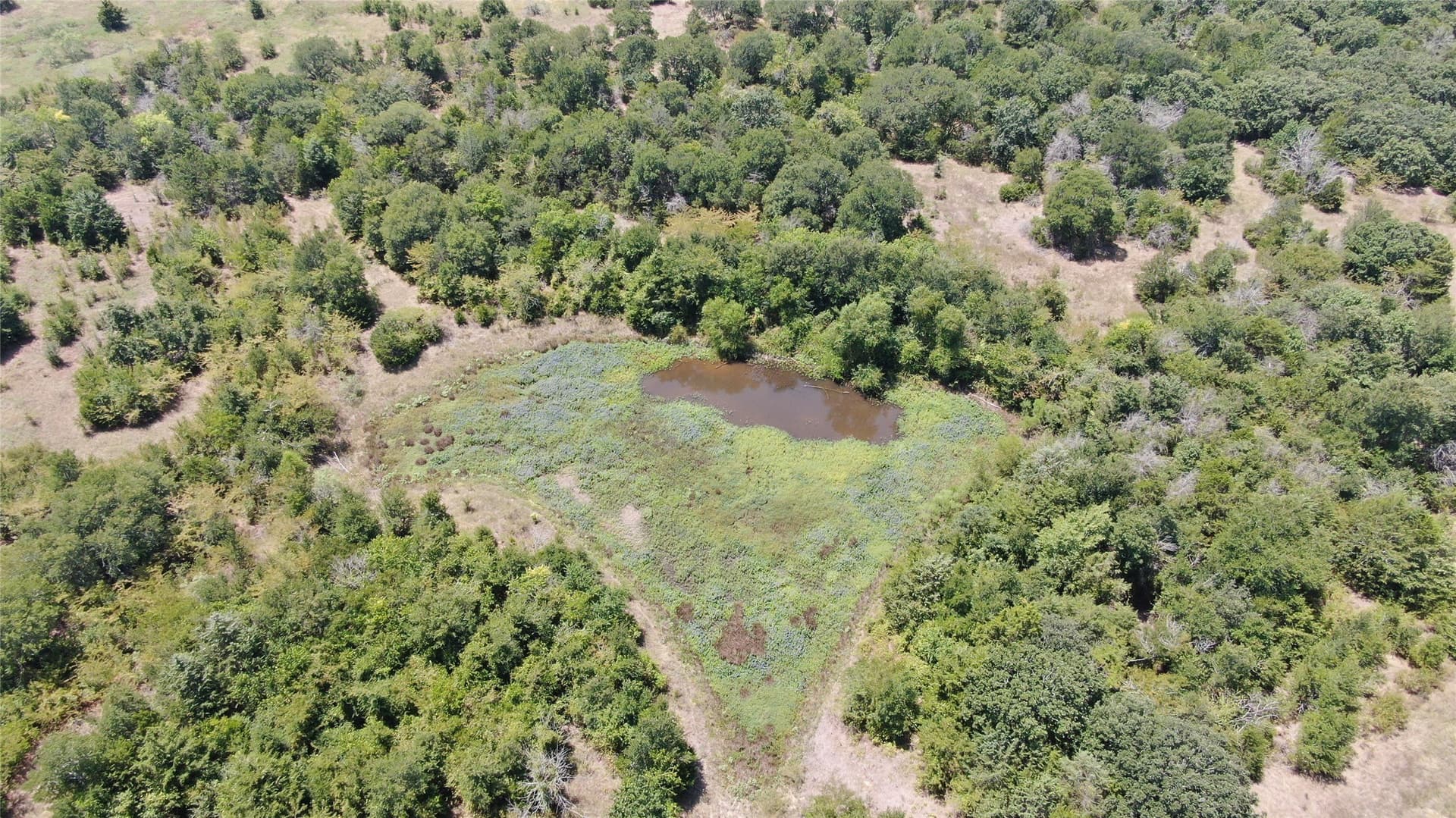 124.13 acres in Van Zandt County - photo 23