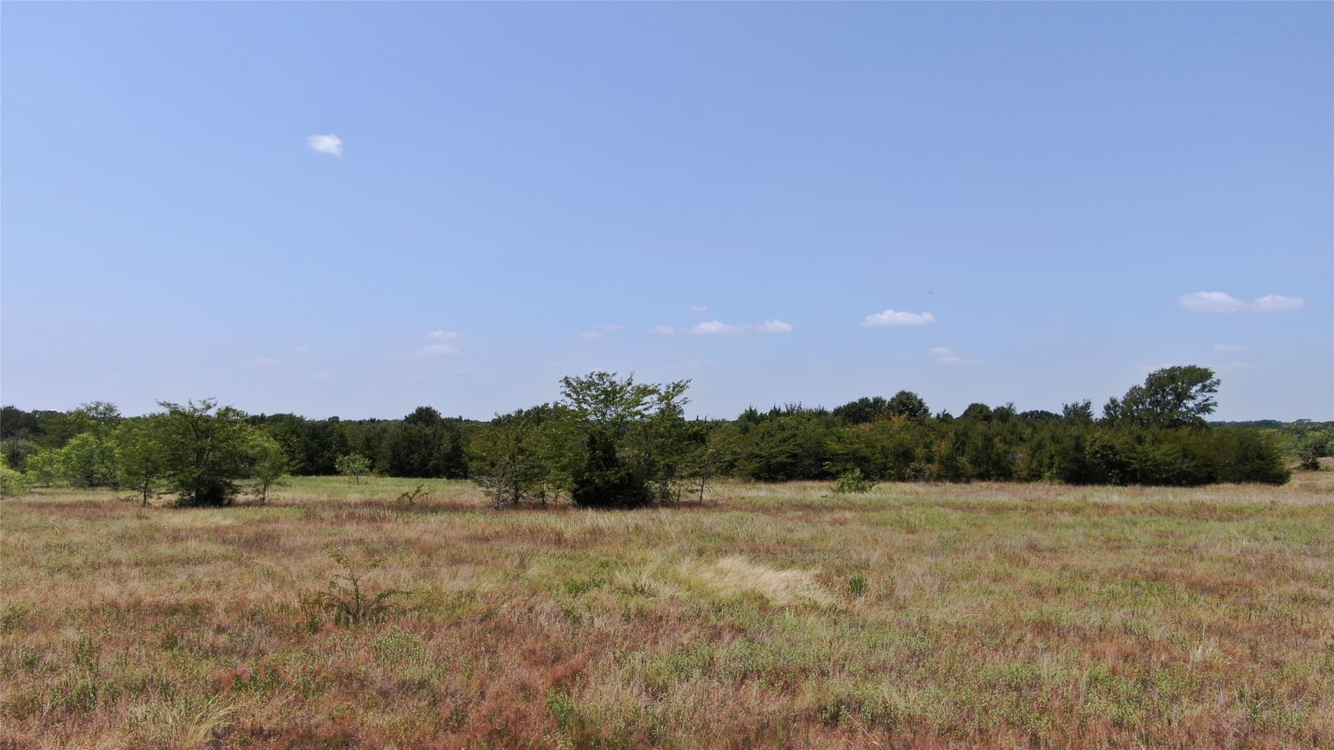 124.13 acres in Van Zandt County - photo 17