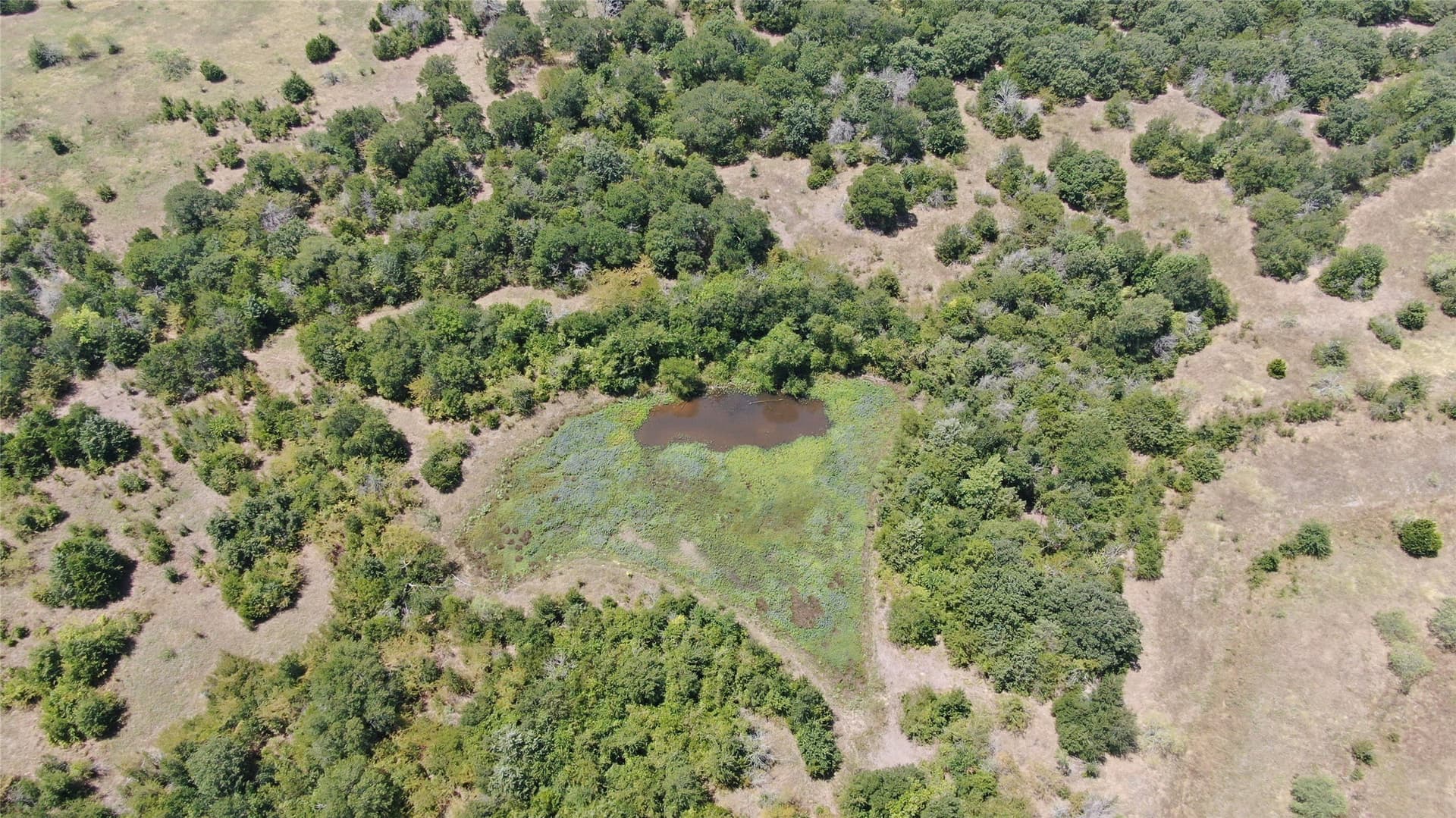 124.13 acres in Van Zandt County - photo 22