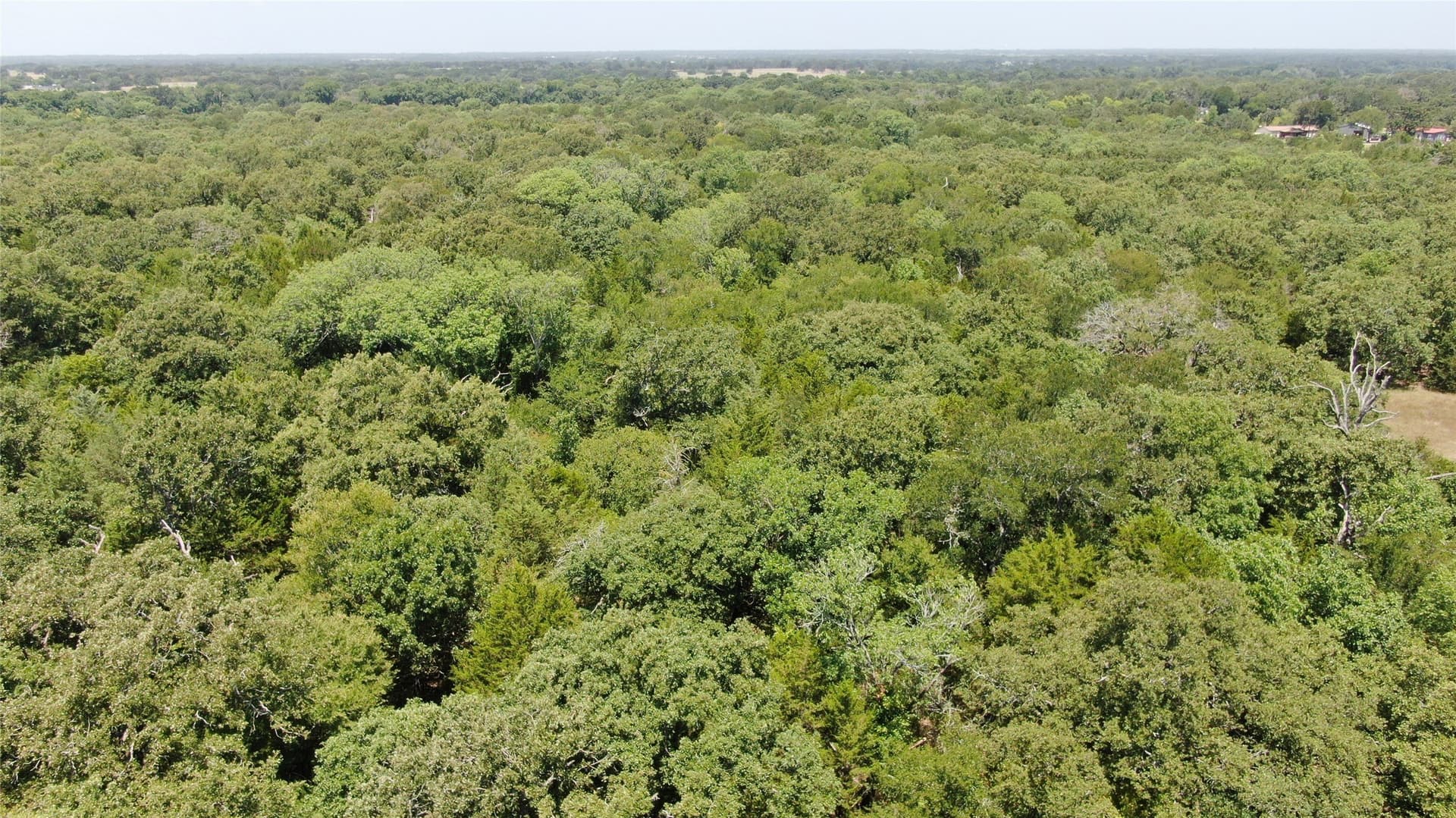 124.13 acres in Van Zandt County - photo 25