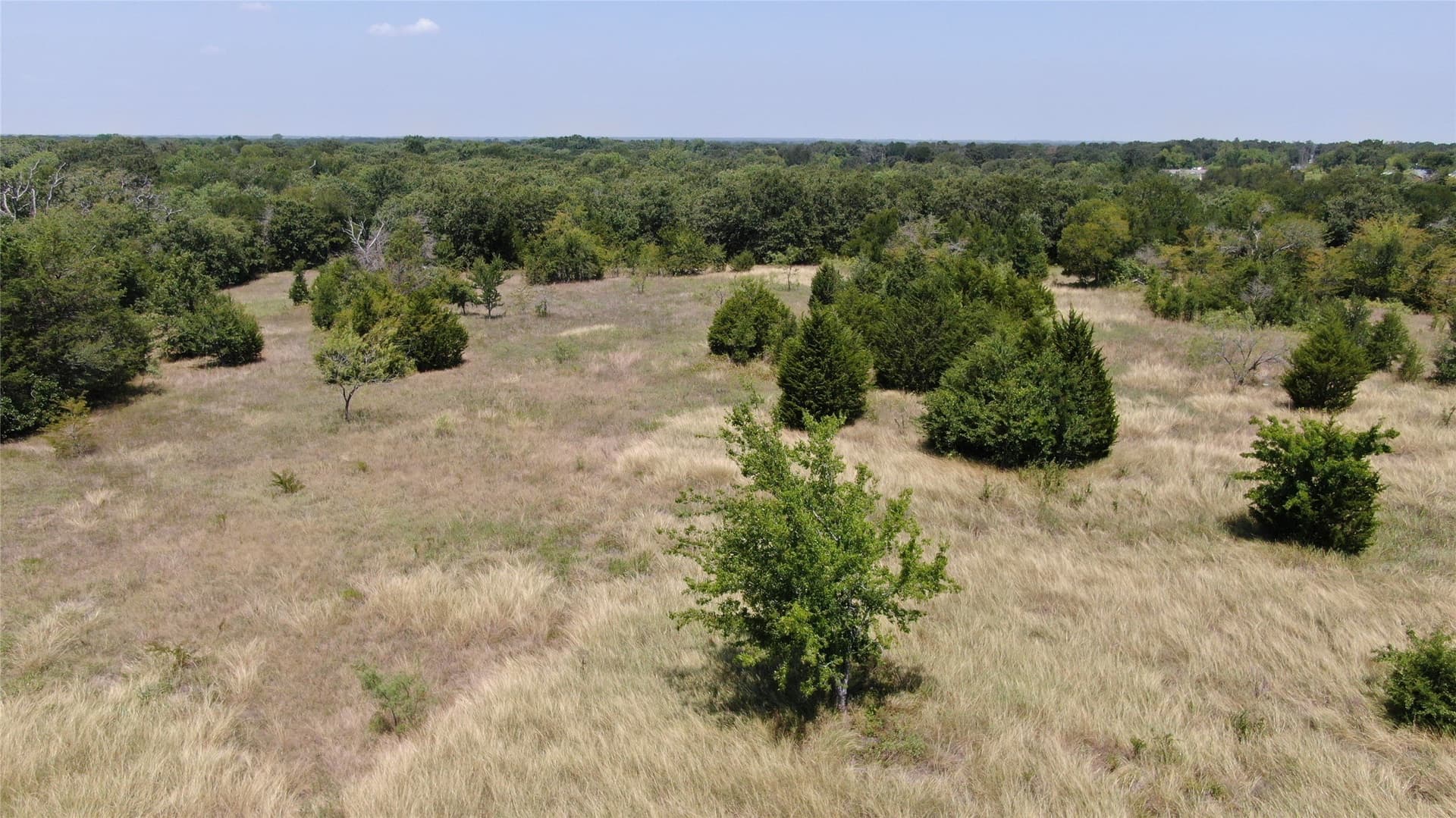 124.13 acres in Van Zandt County - photo 24