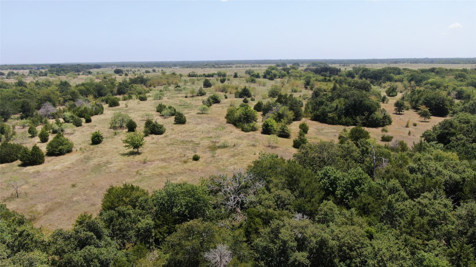 124.13 acres in Van Zandt County - photo 26