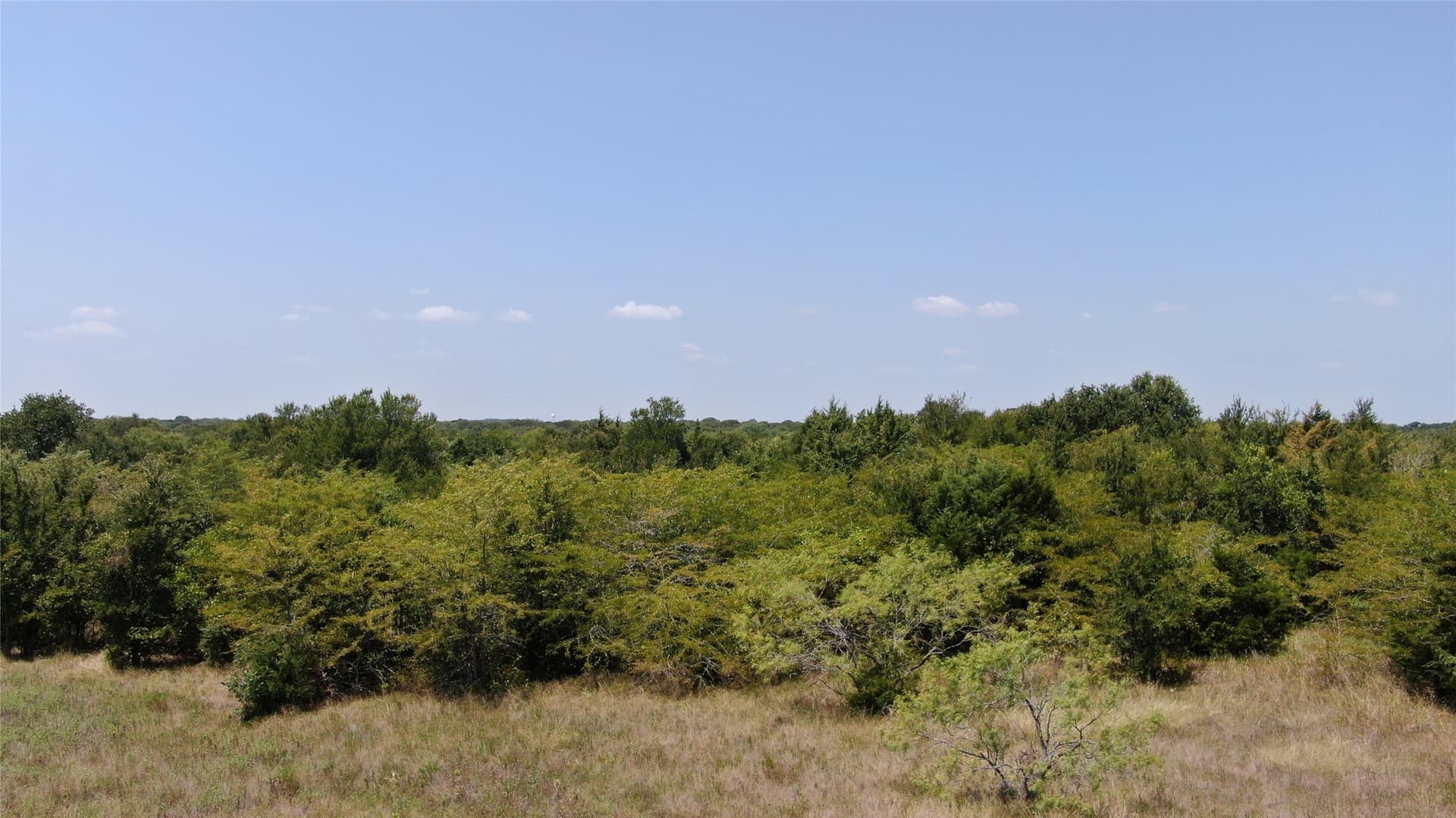 124.13 acres in Van Zandt County - photo 19