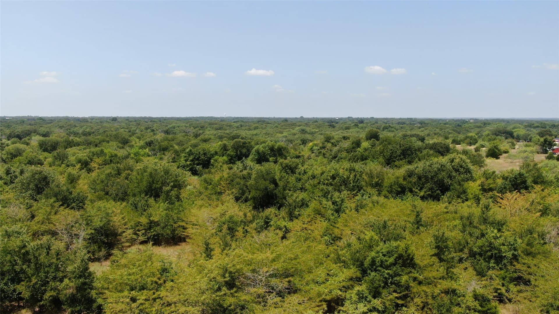124.13 acres in Van Zandt County - photo 20