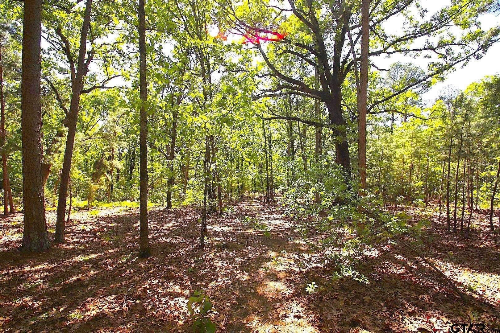 59.08 acres in Wood County - photo 33