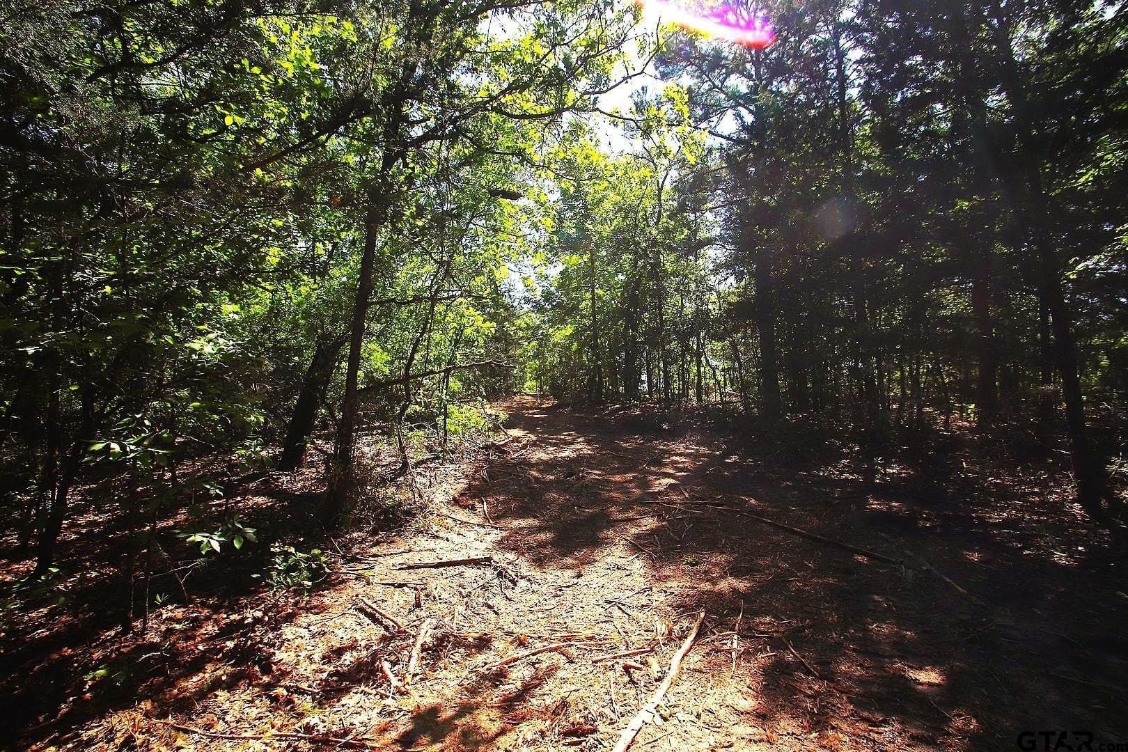 59.08 acres in Wood County - photo 26