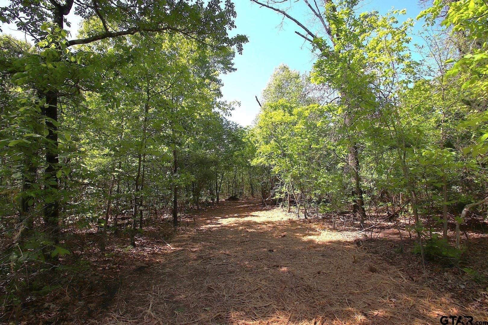 59.08 acres in Wood County - photo 14