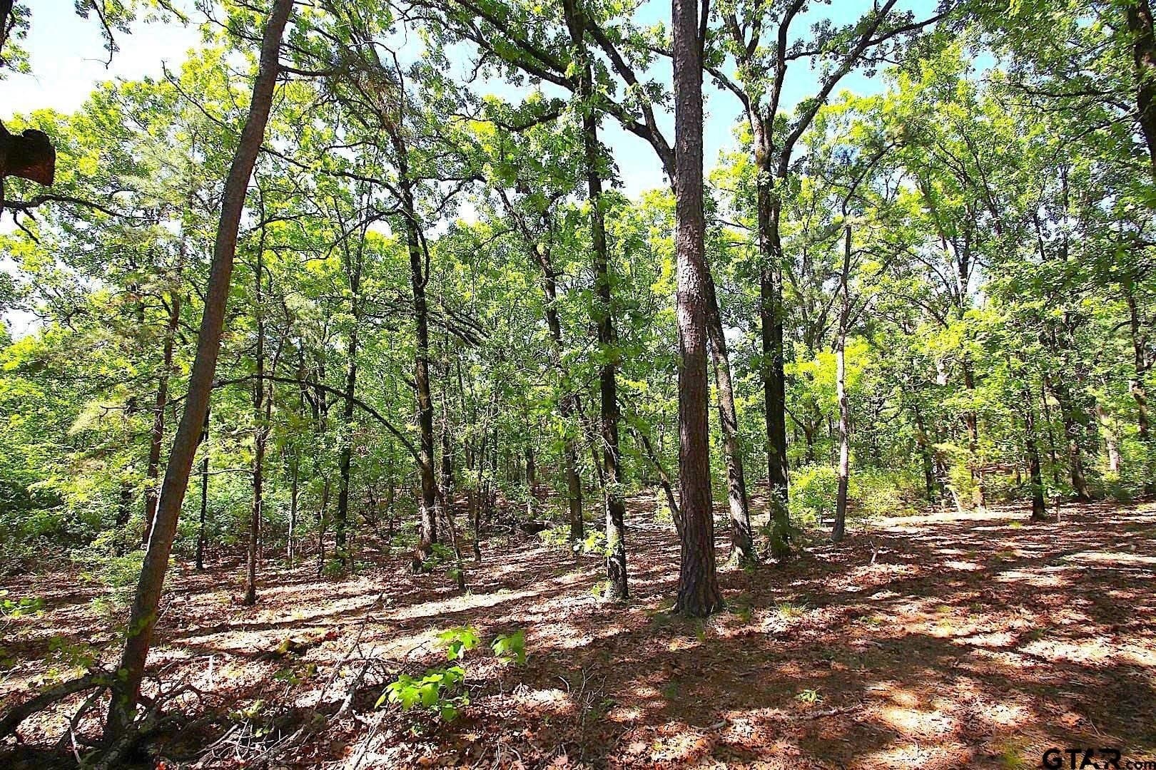 59.08 acres in Wood County - photo 31