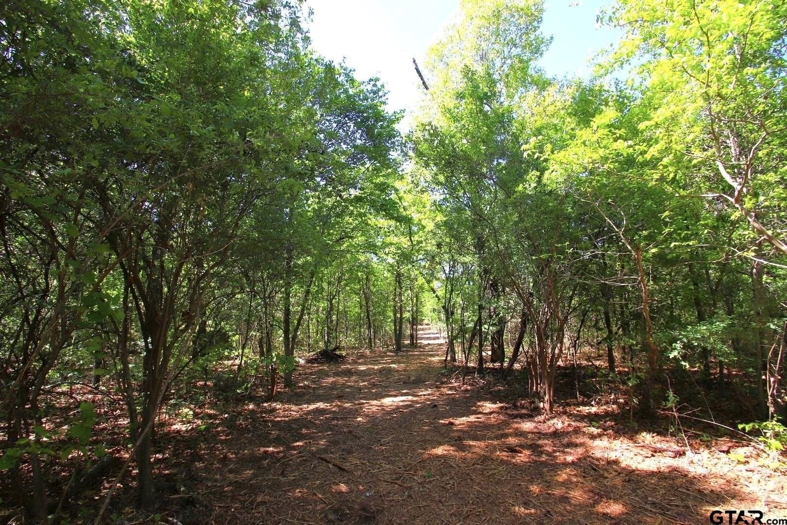 59.08 acres in Wood County - photo 15