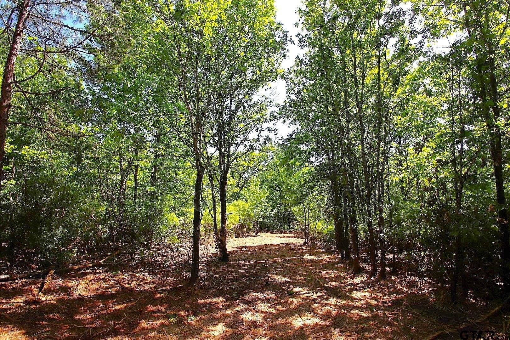 59.08 acres in Wood County - photo 20