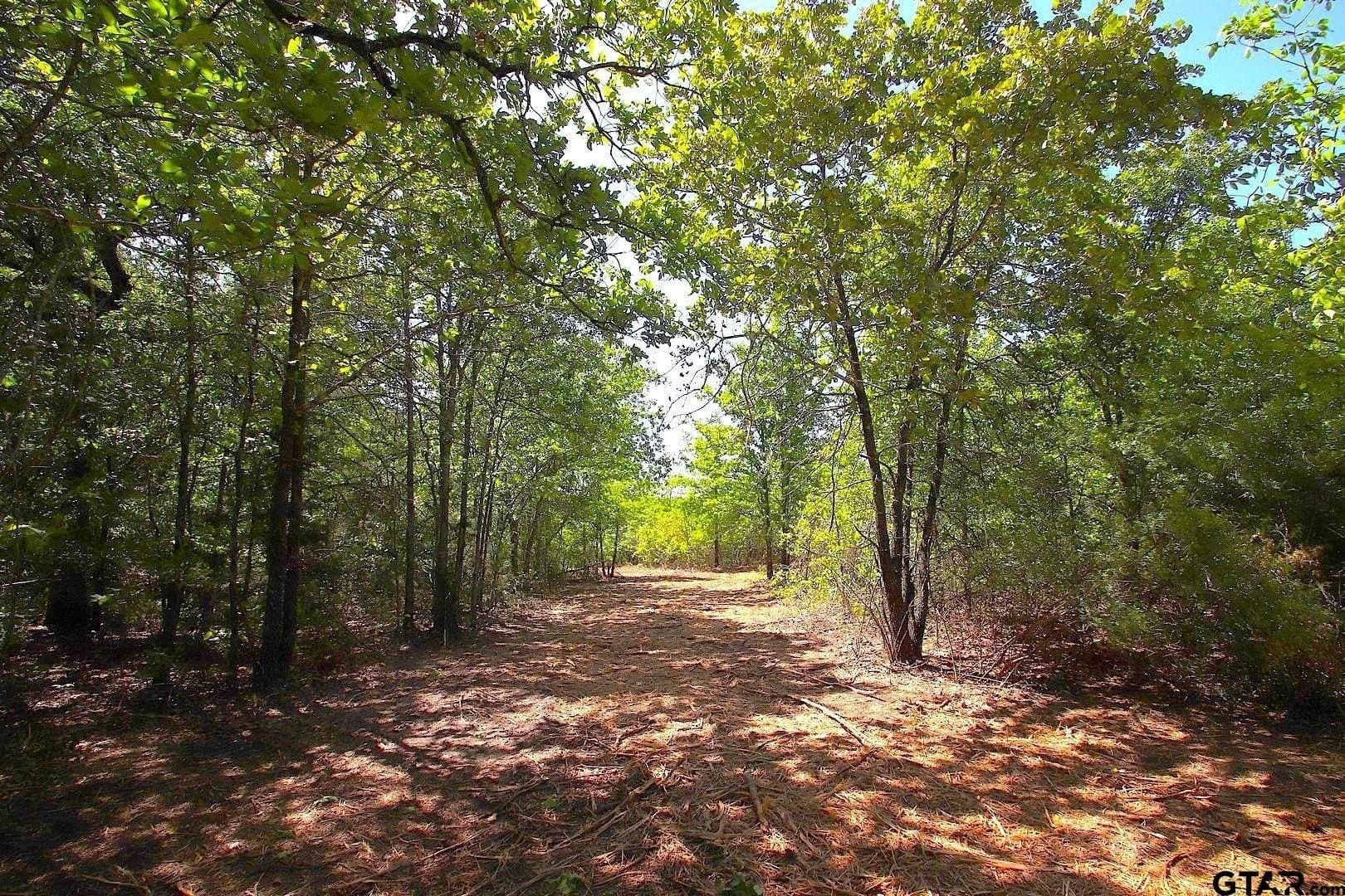 59.08 acres in Wood County - photo 22